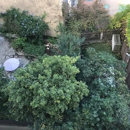 L'illusioniste Vue Dans Le Suquet *